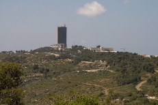 אסון השריפה בכרמל - ירידת ערך מקרקעין